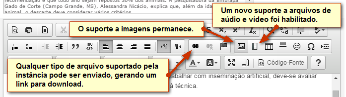 Funcionalidades para inclusão de arquivos multimídia.